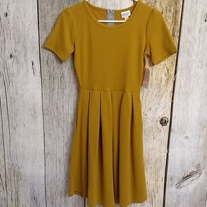 XS Lularoe Amelia